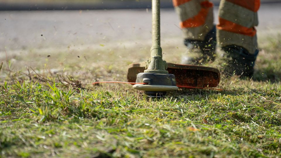 Exterior & Landscaping